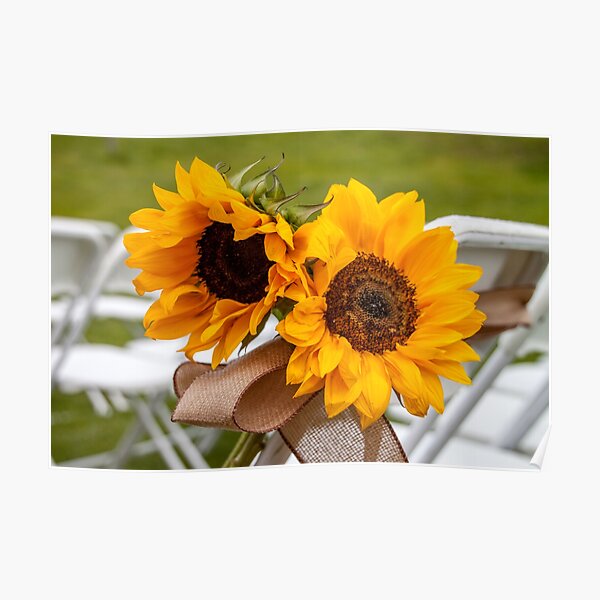Sunflowers on a Wedding Day Poster
