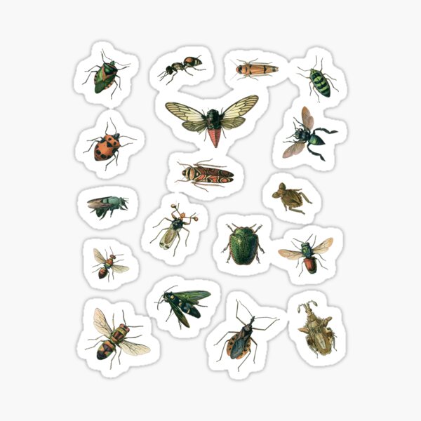 Insect stickers sheet Sticker