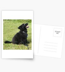 Sit, Lieben, Sit Postcards