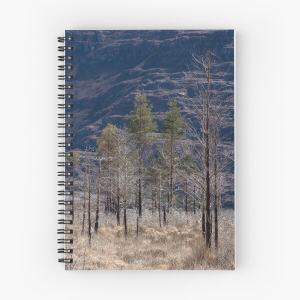 Item preview, Burned Pines #3 designed and sold by ccullen222.