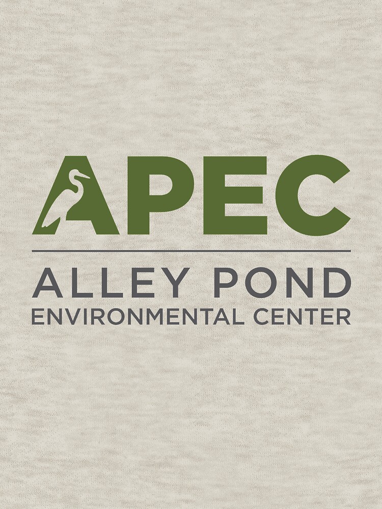 APEC by APECofQueens
