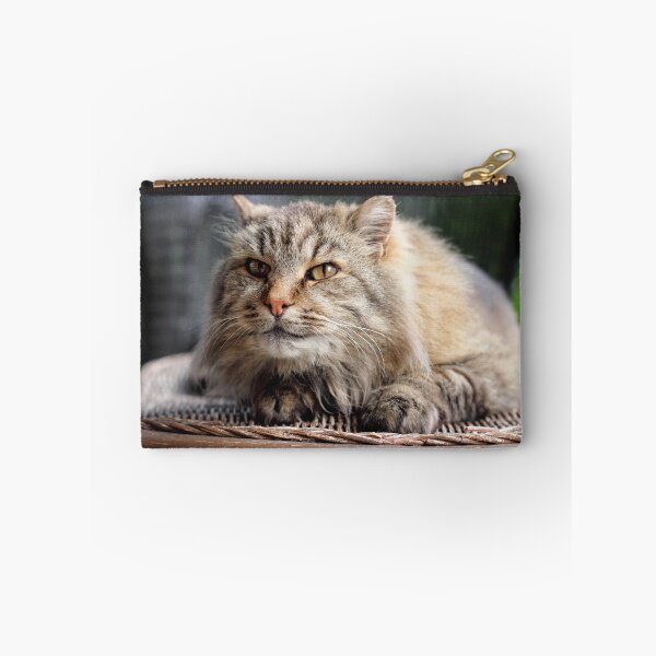 Item preview, Inquisitive designed and sold by Tracy Friesen.