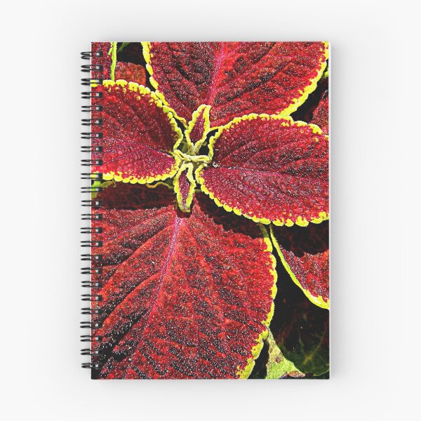 Item preview, Foliage Series - 3 designed and sold by ctheworld.