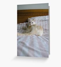 Flirt Greeting Card