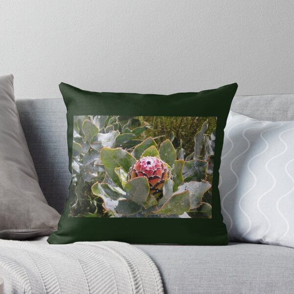 Artikelvorschau, Protea eximia bud entworfen und verkauft von BiodiversityRocks.