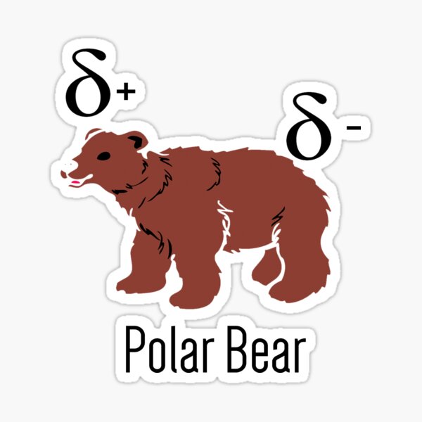 Science Bear Gifts Merchandise Redbubble