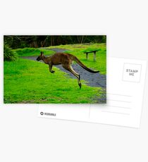 iHop 2.0 Postcards