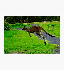 iHop 2.0 Photographic Print