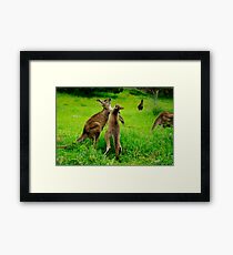 Left Hook Framed Print