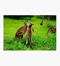 Left Hook Photographic Print