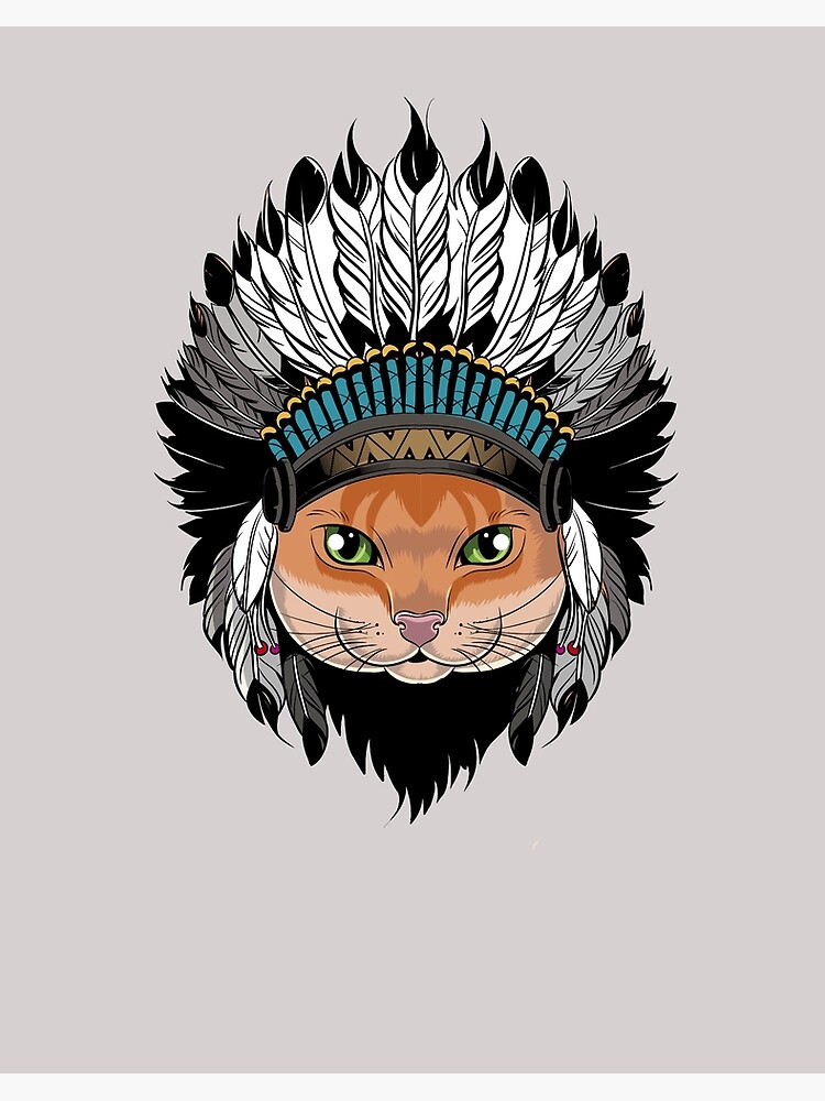 NATIVE AMERICAN CAT ubicaciondepersonas.cdmx.gob.mx