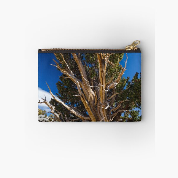 Item preview, Bristle Cone Pine from the Windblown Side designed and sold by photosbyflood.