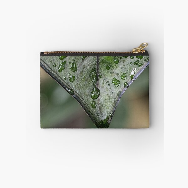 Artikelvorschau, Abstract Leaf with Raindrops entworfen und verkauft von Pixie Copley LRPS.