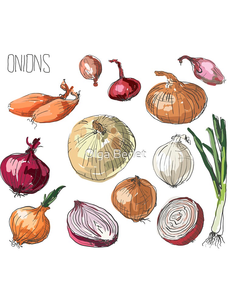 Onion The Veggie Fun Coloring Game - SplashLearn