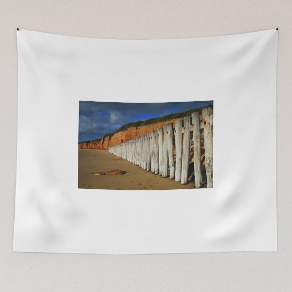 Item preview.