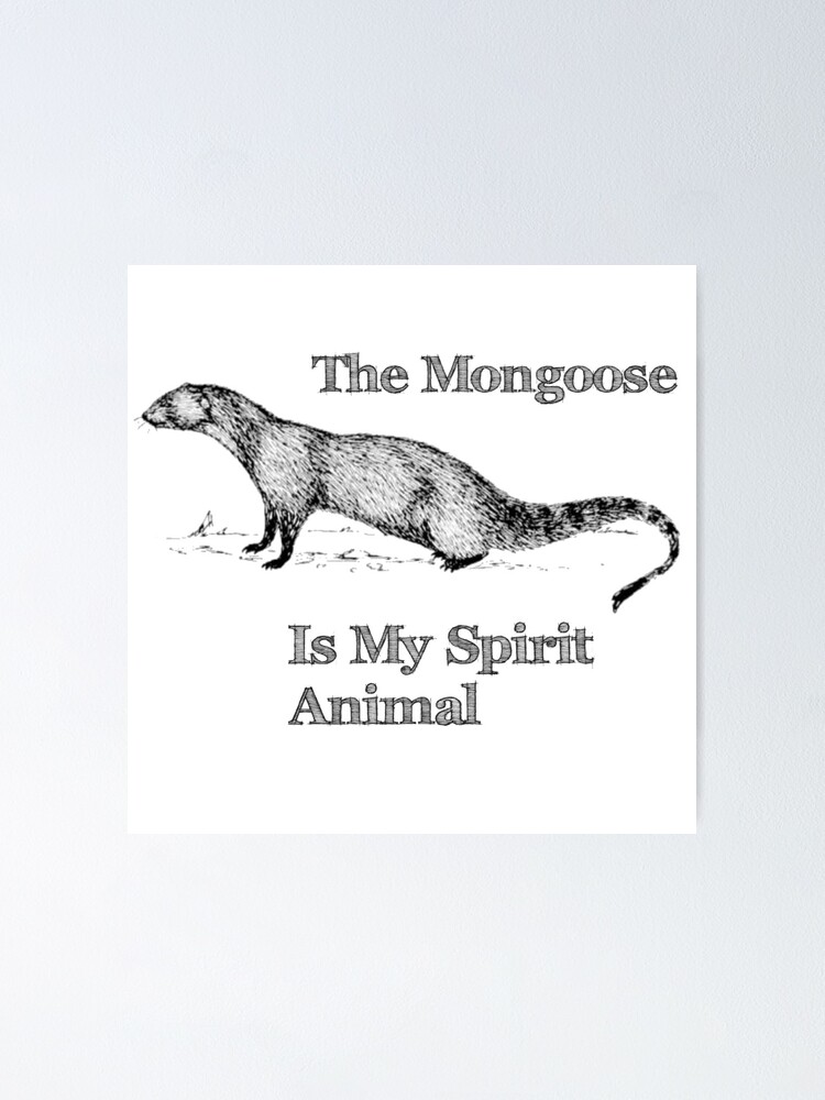 Mongoose Spirit Animal Mongoose Spirit Animal