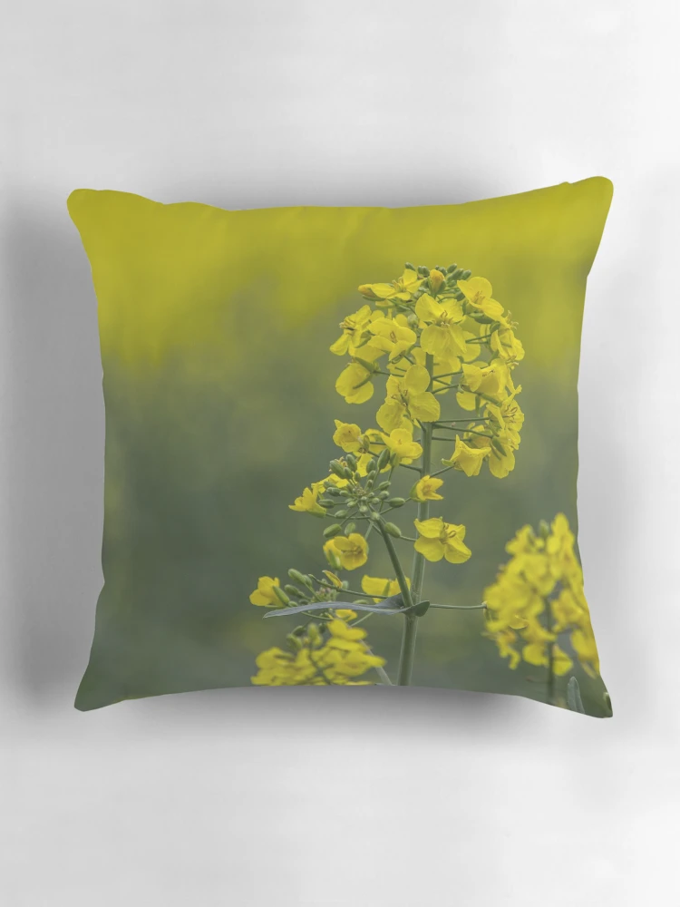 Thumbnail 3 of 4, Pillow, Oilseed Rape Flower - Rapeseed designed and sold by Pixie Copley LRPS.