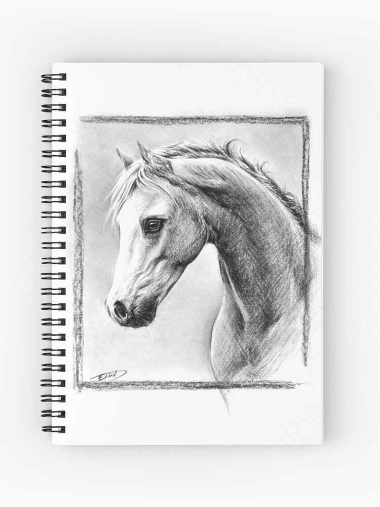 Update 186+ charcoal sketch horse best