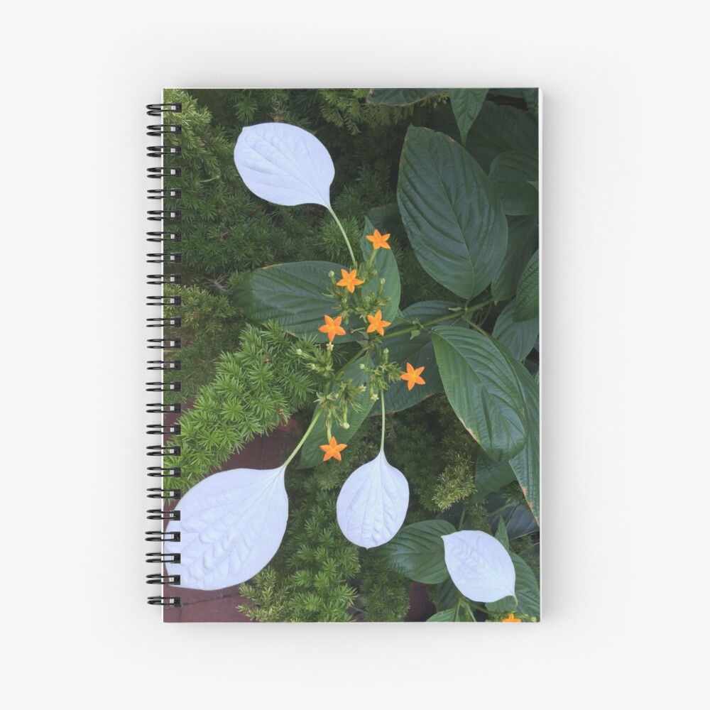 Haupt Garden at Smithsonian Castle Spiral Notebook