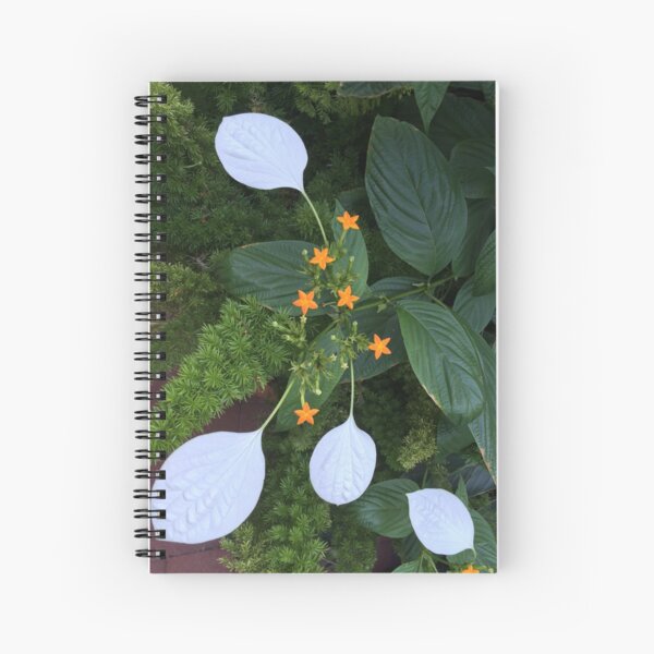 Enid A. Haupt Garden at the Smithsonian Castle Spiral Notebook