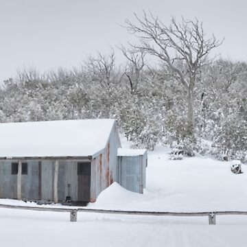 Artwork thumbnail, Winter Refuge, Bluff Hut, Alpine National Park, Victoria, Australia by Michael Boniwell