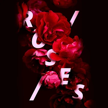 Artwork thumbnail, Typography Roses by Fryar