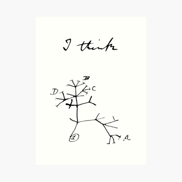 Darwin - Árbol de la vida - Creo Lámina artística