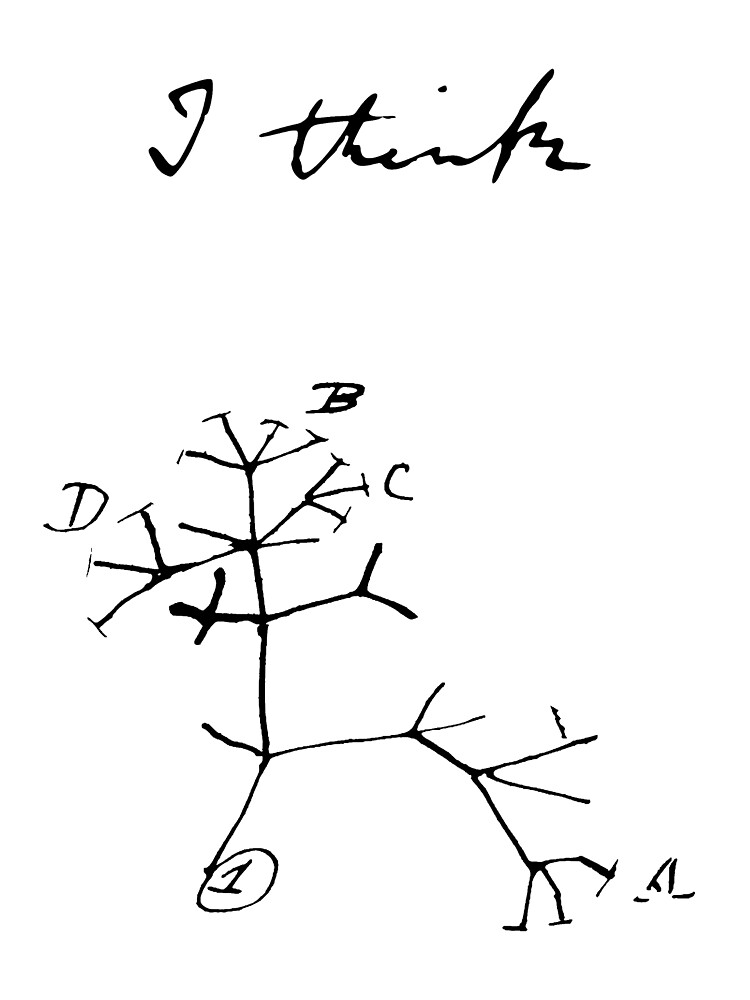 Darwin - Tree of Life - I Think | Art Print