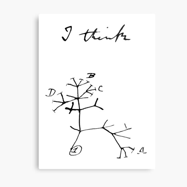 Darwin - Tree of Life - I Think Metal Print