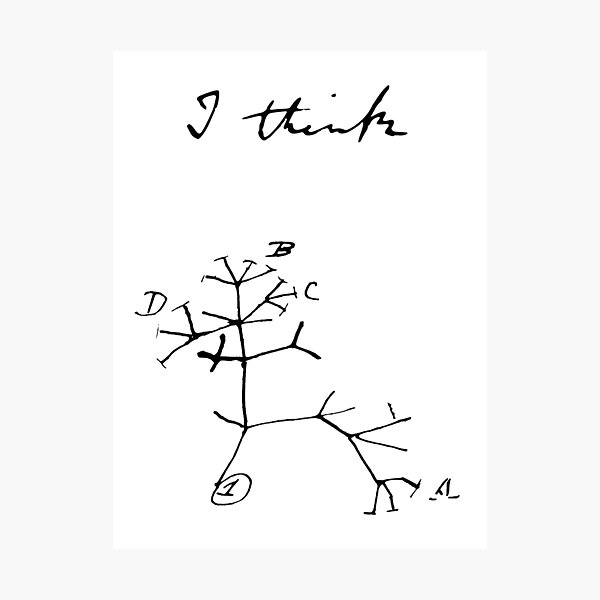 Item preview, Darwin - Tree of Life - I Think designed and sold by Univers3.