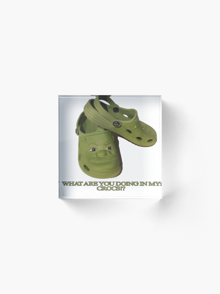 Shrek Green Crocs Shrek Funny Gift - CrocsBox