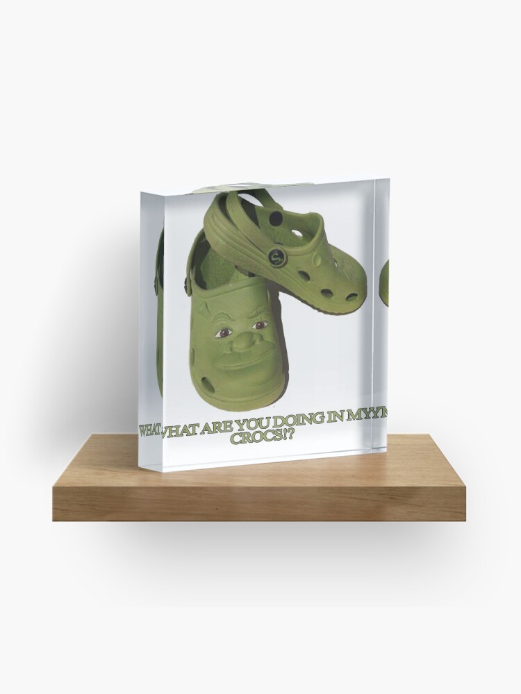 Shrek Green Crocs Shrek Funny Gift - CrocsBox