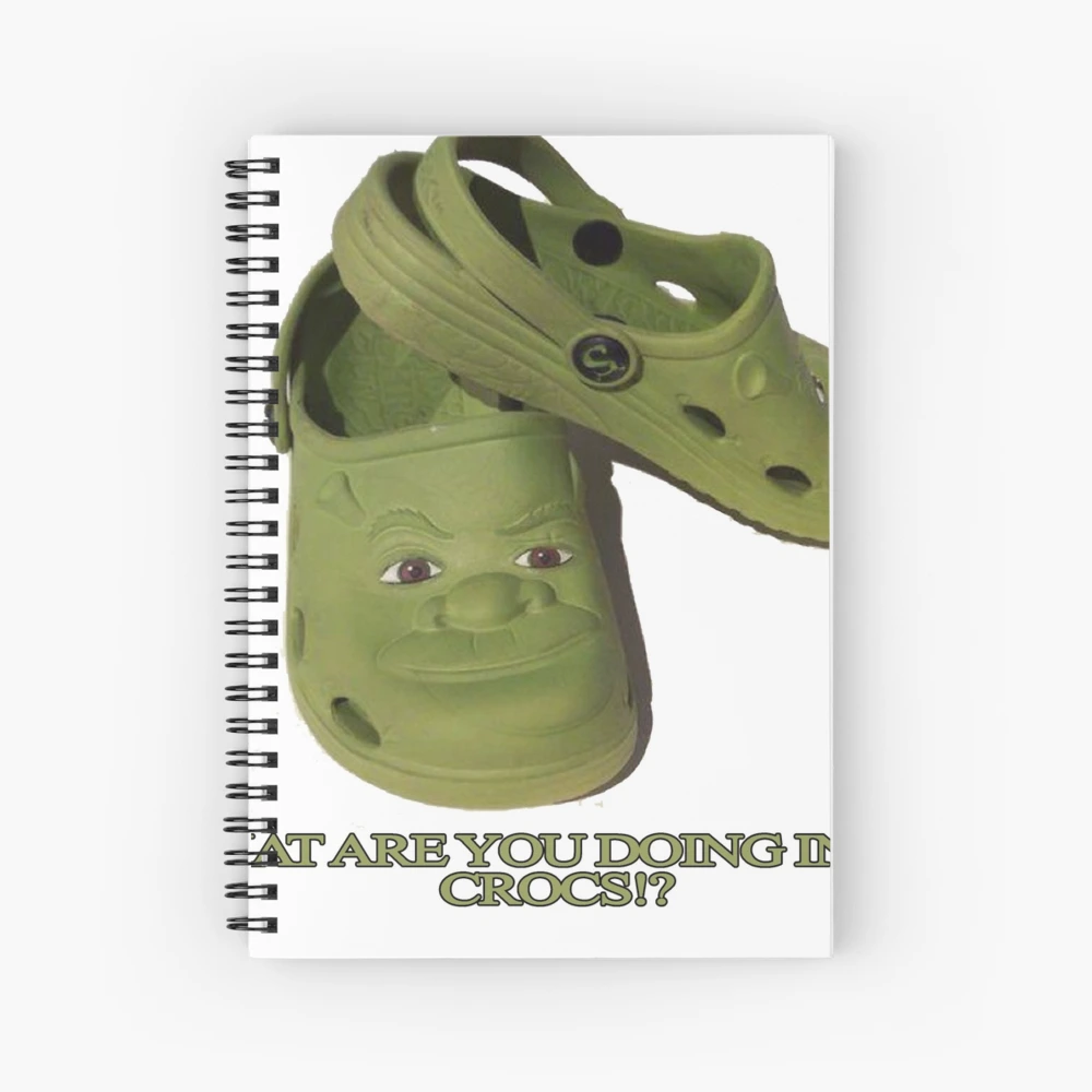 DarrenZeus on X: I dreamt about someone asking for my Shrocs (Shrek Crocs)  3d model. I never did anything with them, so who wants them? XD Ill be  dropping these in my