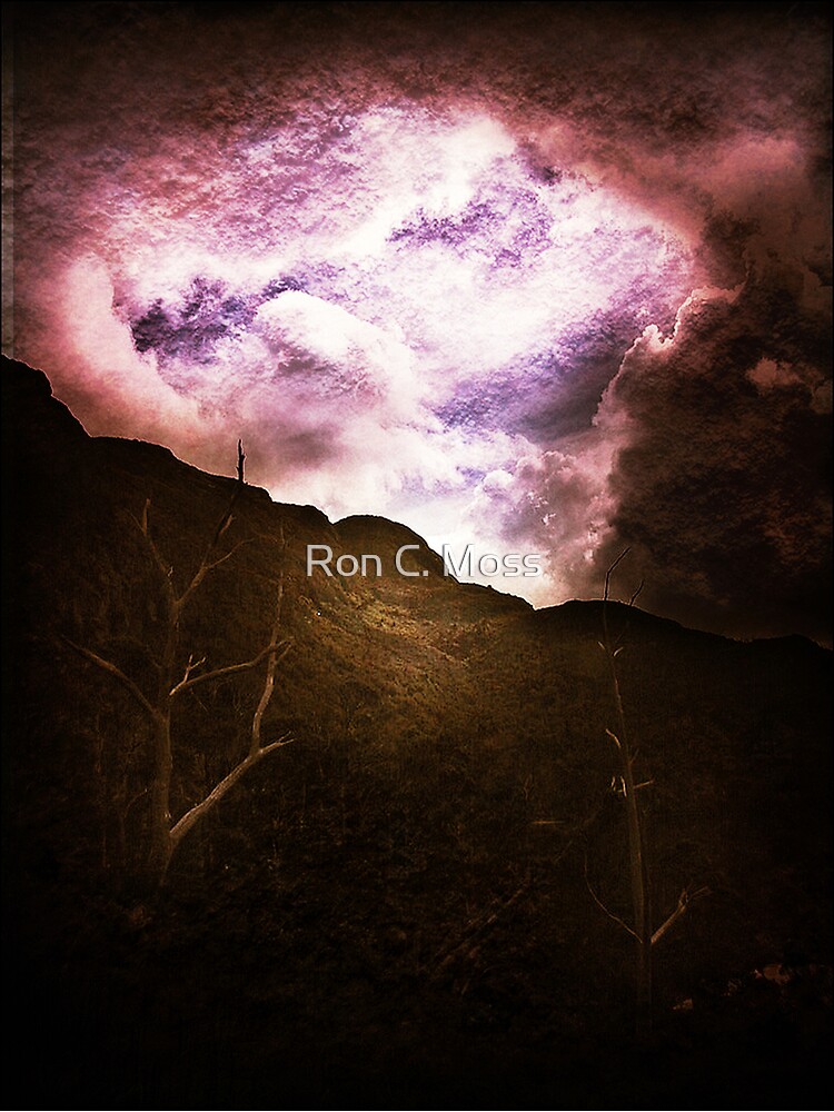 Mountain Door by ronmoss