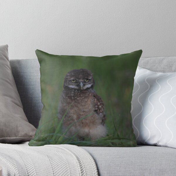 Item preview, Curiosity designed and sold by kathy s gillentine.