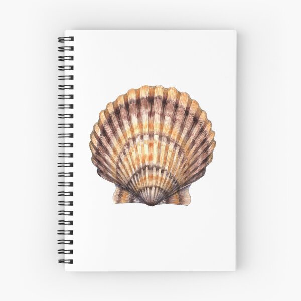 Item preview, Bay Scallop designed and sold by JadaFitch.