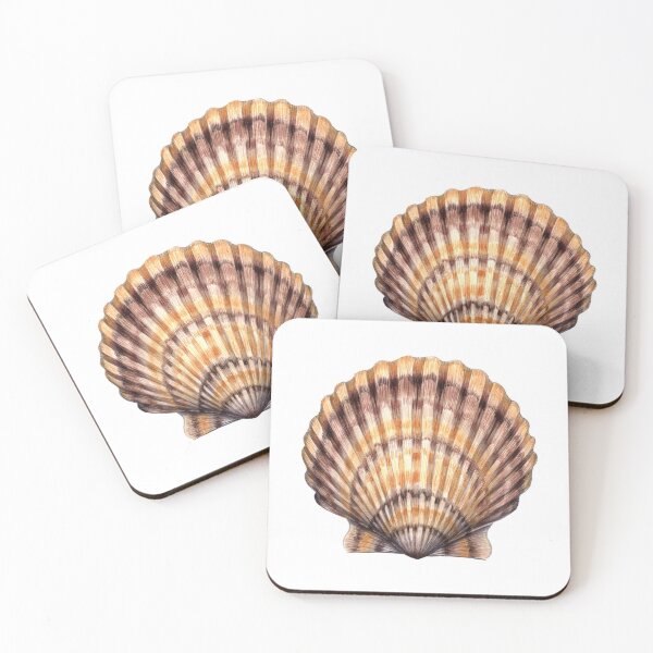Item preview, Bay Scallop designed and sold by JadaFitch.