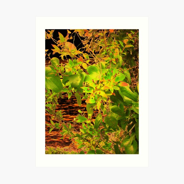 Art Print