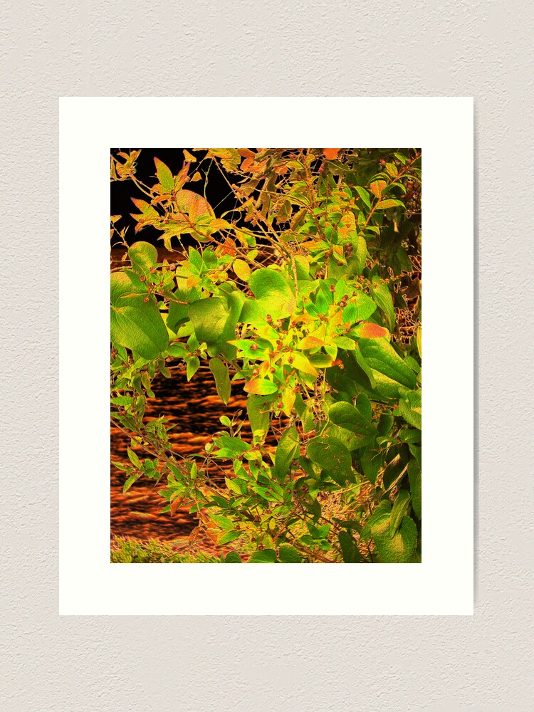 Thumbnail 1 of 3, Art Print, GLOW in the Bush designed and sold by TatianaMichaela.
