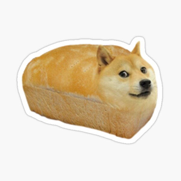 shiba inu bread