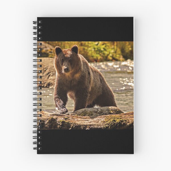 Item preview, Bear designed and sold by Alicia Sims.
