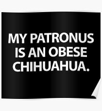 My Patronus Is An Obese Chihuahua Poster