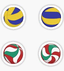 Volleyballs Sticker
