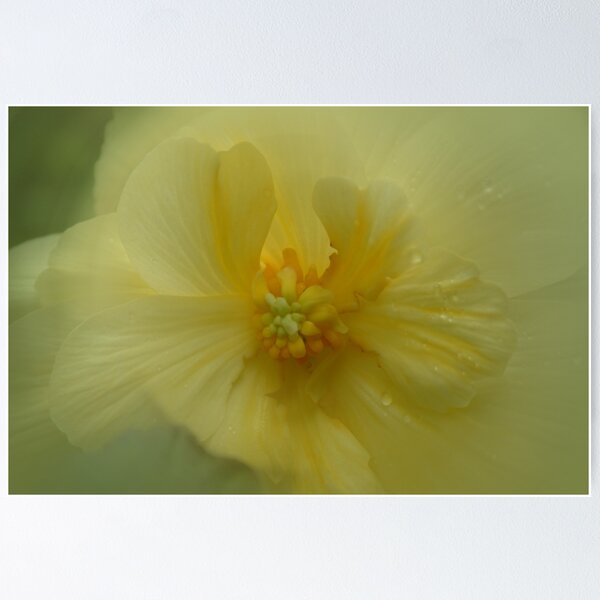 Item preview, Inner Beauty designed and sold by Linda Cutche.