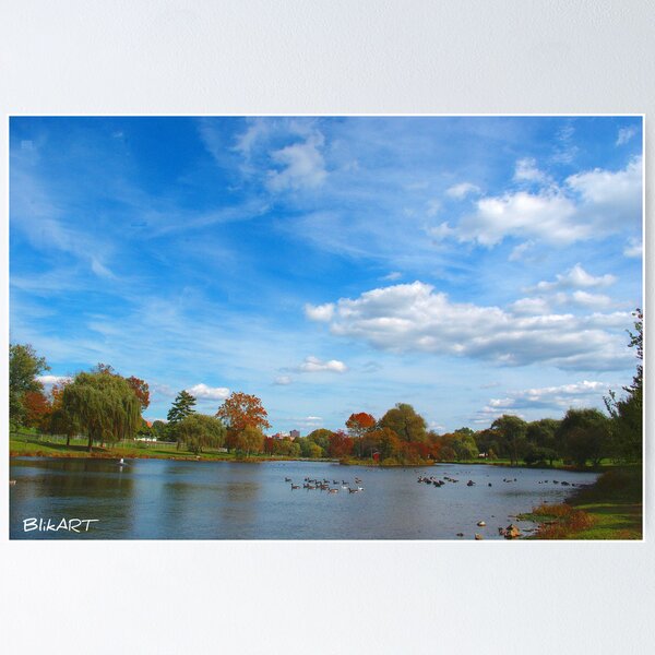 Item preview, Hidden lake. designed and sold by BlikART.
