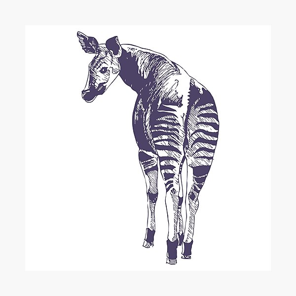 Item preview, Okapi designed and sold by Stephanie Ting.