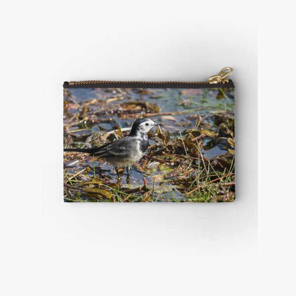 Item preview, Female pied wagtail designed and sold by GreyFeatherPhot.