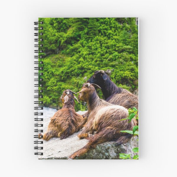 Item preview, Mountain goats in Annapurna Conservation Area, Nepal designed and sold by Stanciuc.