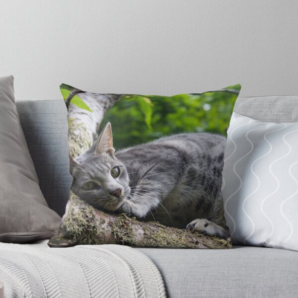 Item preview, Savannah Cat designed and sold by Zagfros.