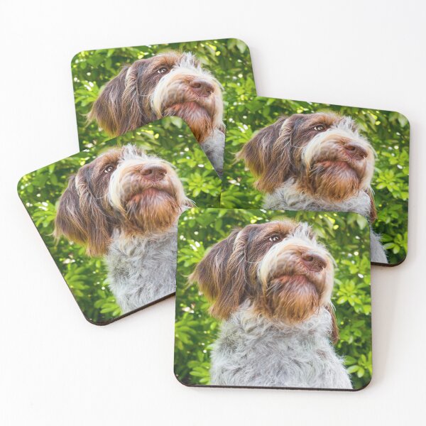 Item preview, Say what? Spinone by heidiannemorris designed and sold by FOLK ART FUSION by heidiannemorris.
